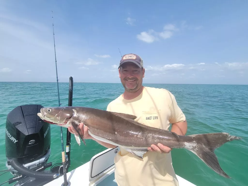 Good Tips to Become a Better Fisherman in Tampa Bay