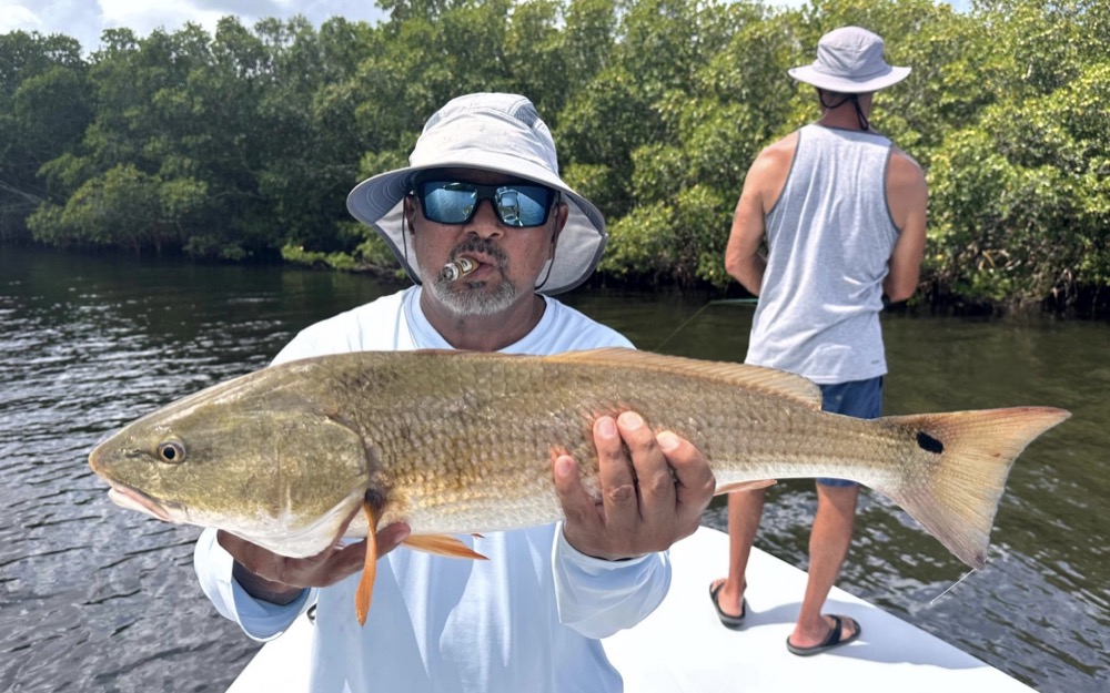 How Redfish Behave Throughout the Year in Tampa Bay