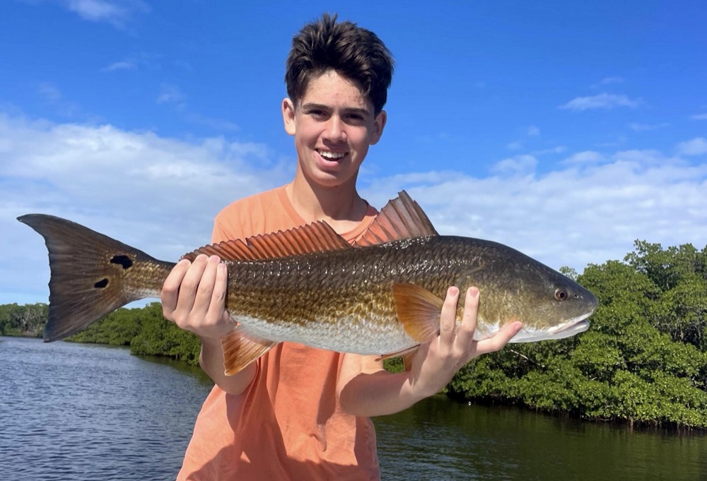 Meet the Fish You’ll Find on Tampa Bay Inshore Fishing Charters