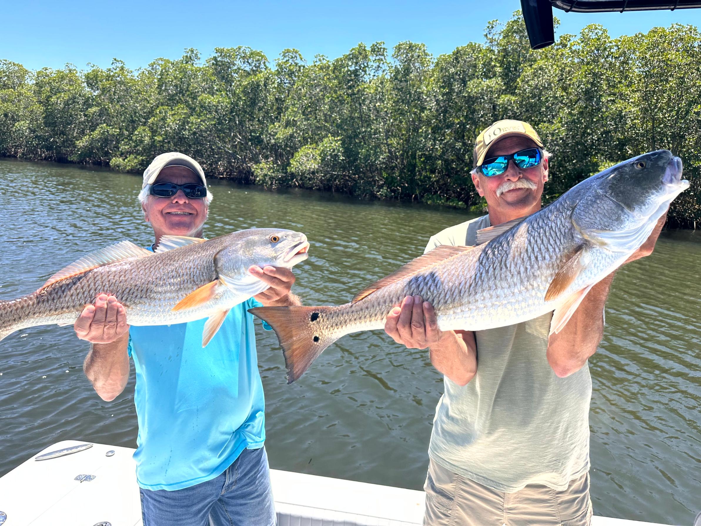 Do Half Day Fishing Charters in Tampa Bay Catch Enough Fish?