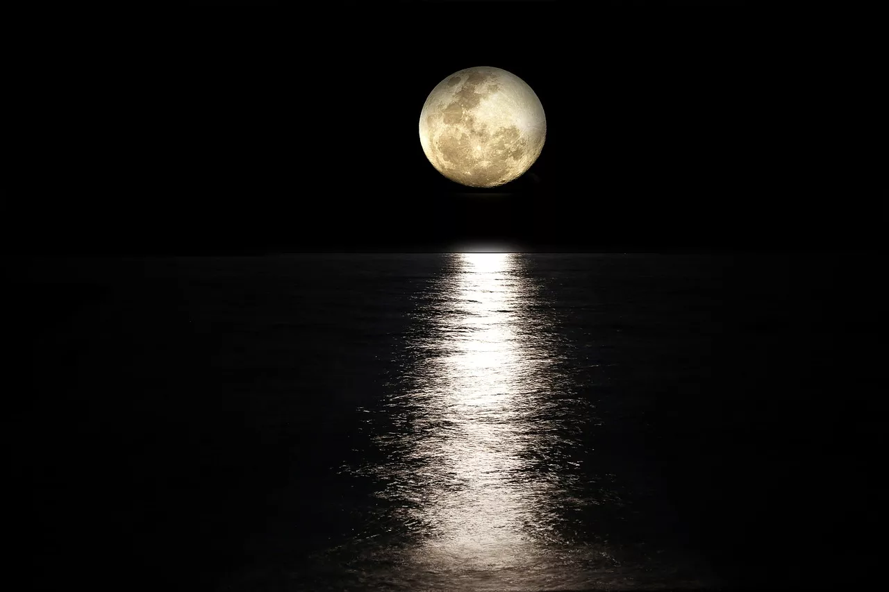How Moon Phases Can Change Fishing Conditions Around Tampa