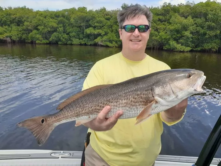 Tampa fishing Report for September 2020