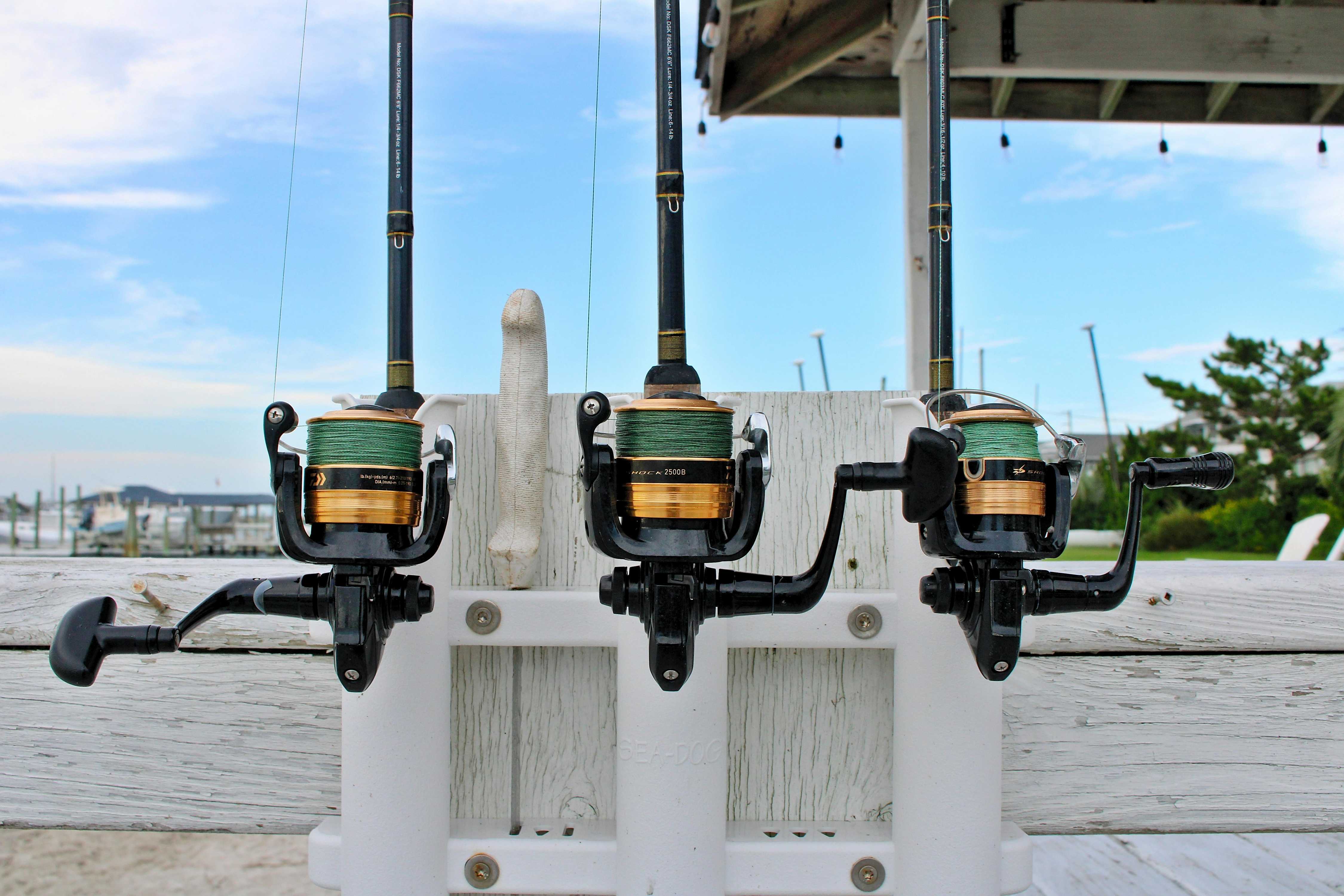 How to Pick the Right Fishing Rod for Your Tampa Bay Charter