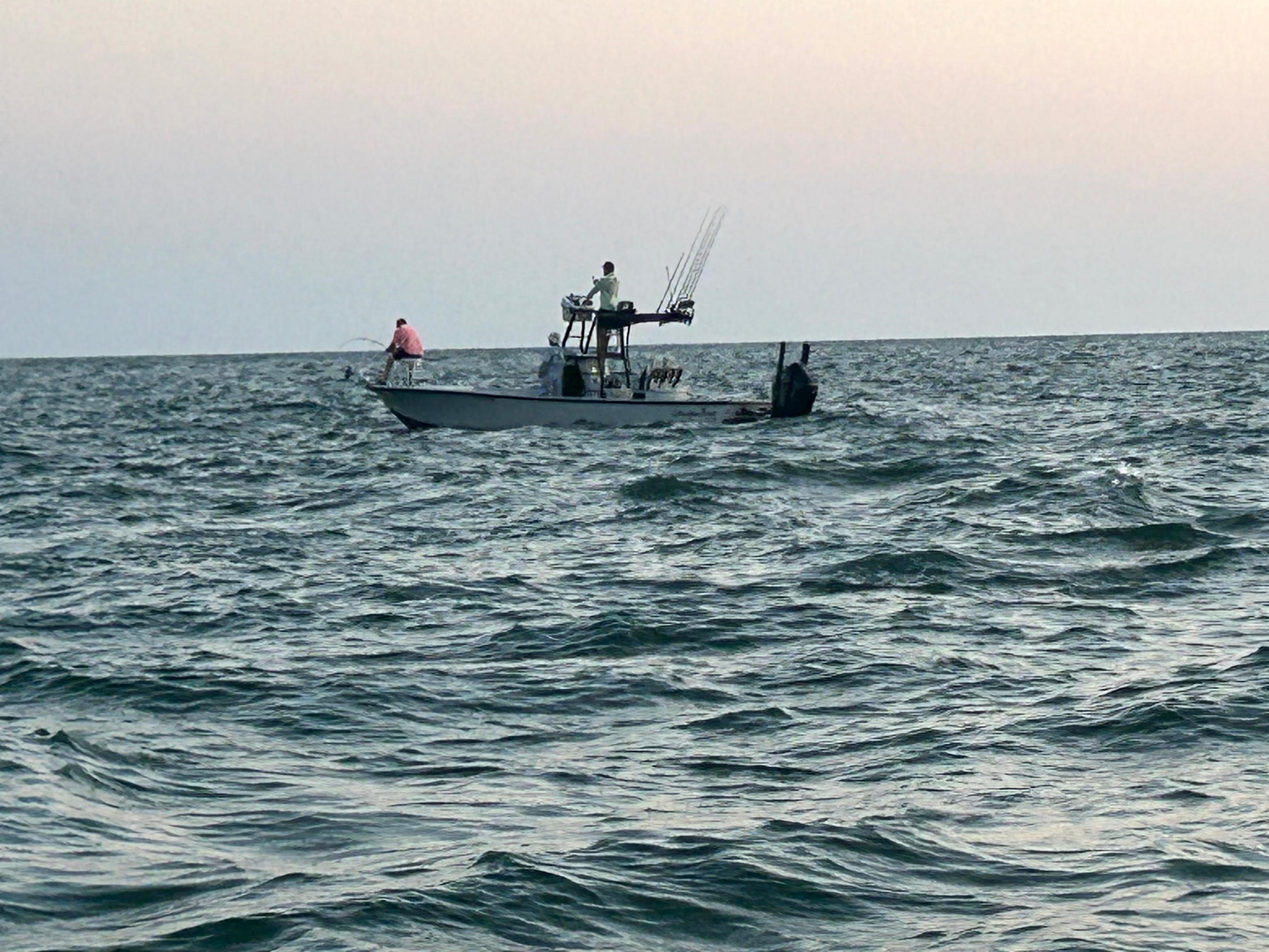 Should You Fish Incoming or Outgoing Tides in Tampa Bay?