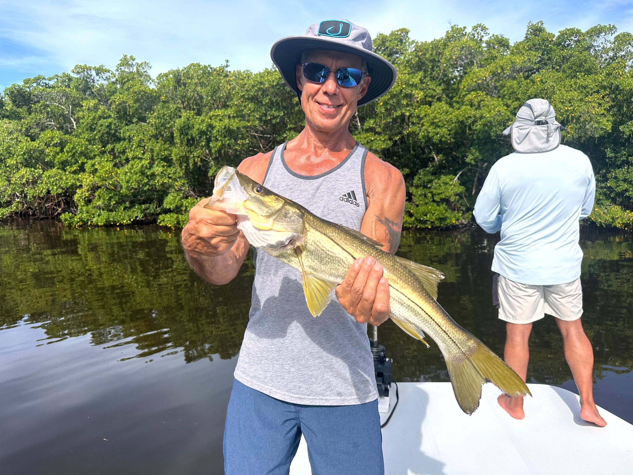 Why Mangrove Lines Are Great Fishing Spots