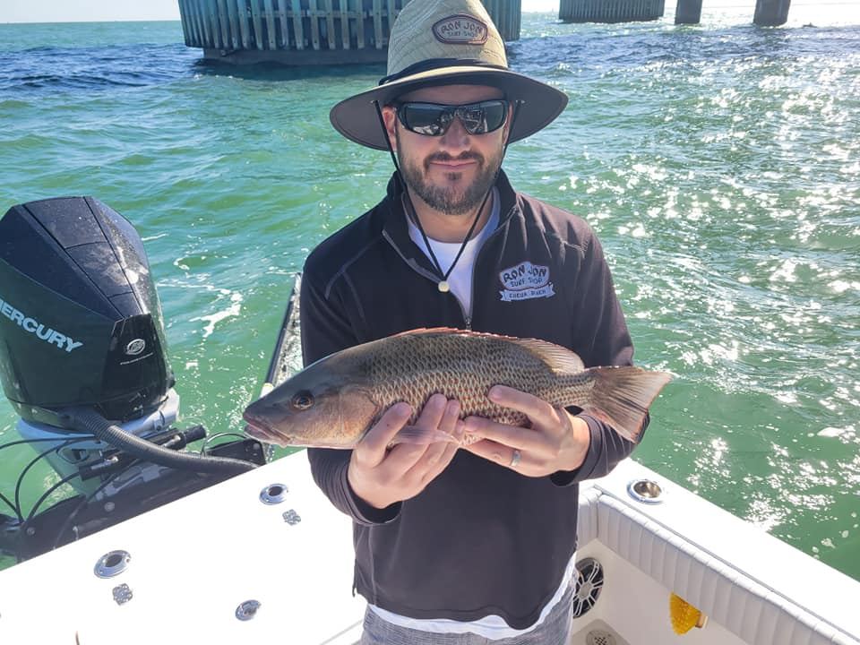 When Is the Best Time to Catch Mangrove Snapper in Tampa Bay?