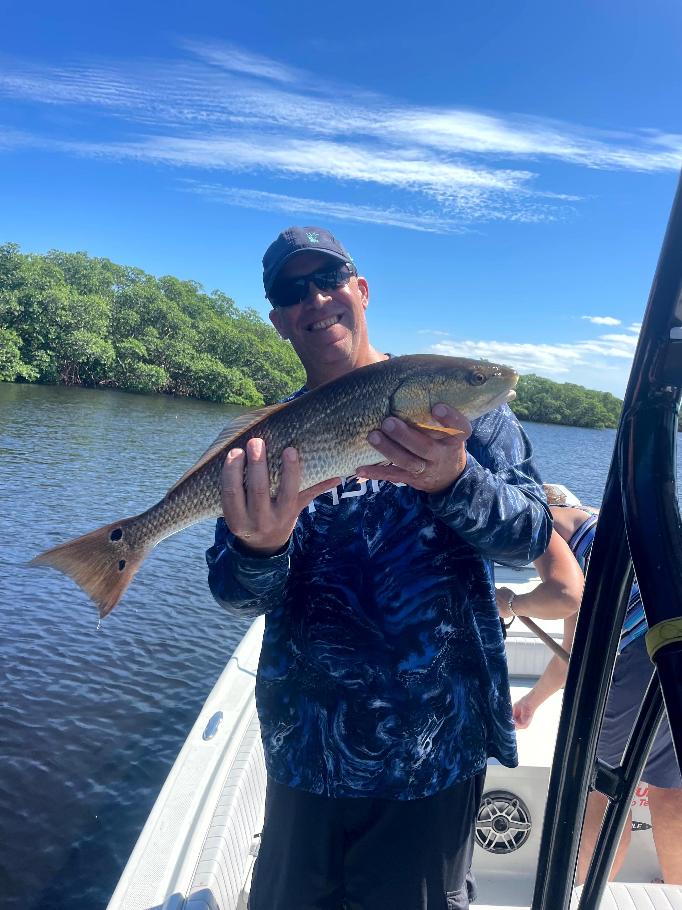 Redfish hiding in Tampa Bay creek mouths during high tide
