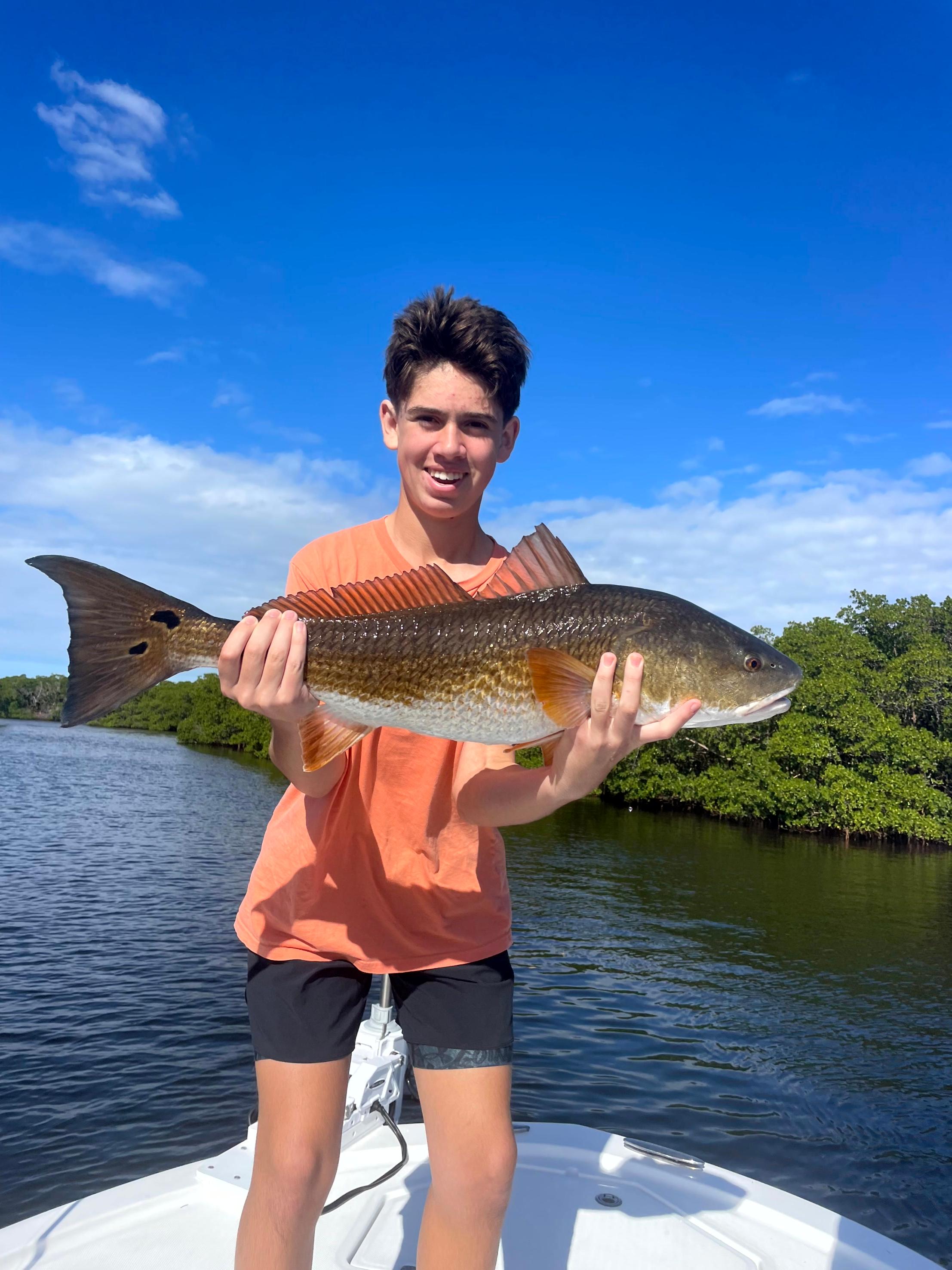 Where Do Redfish in Tampa Bay Hide During High Tide?