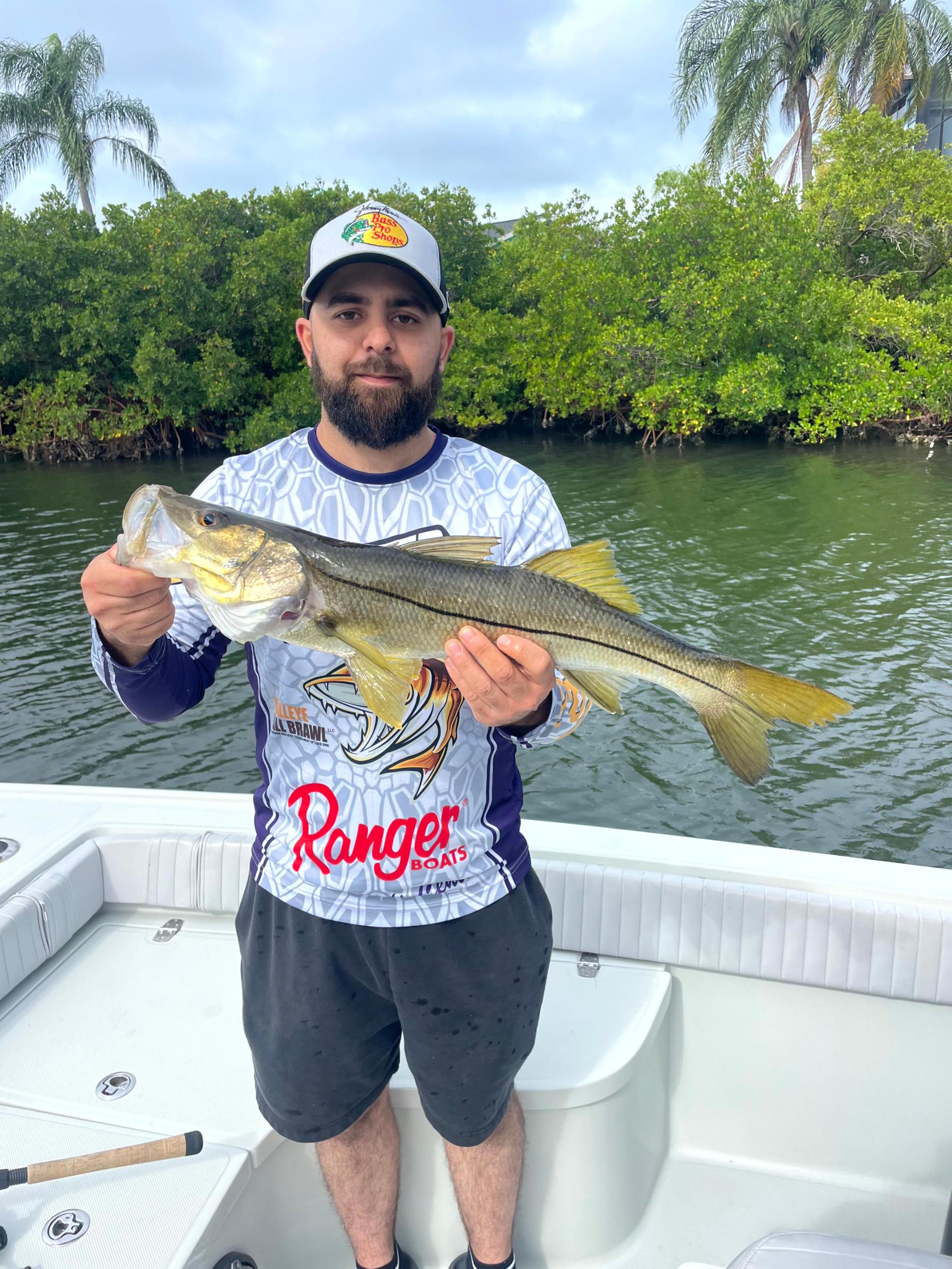 Snook feeding times and bite windows in Tampa Bay