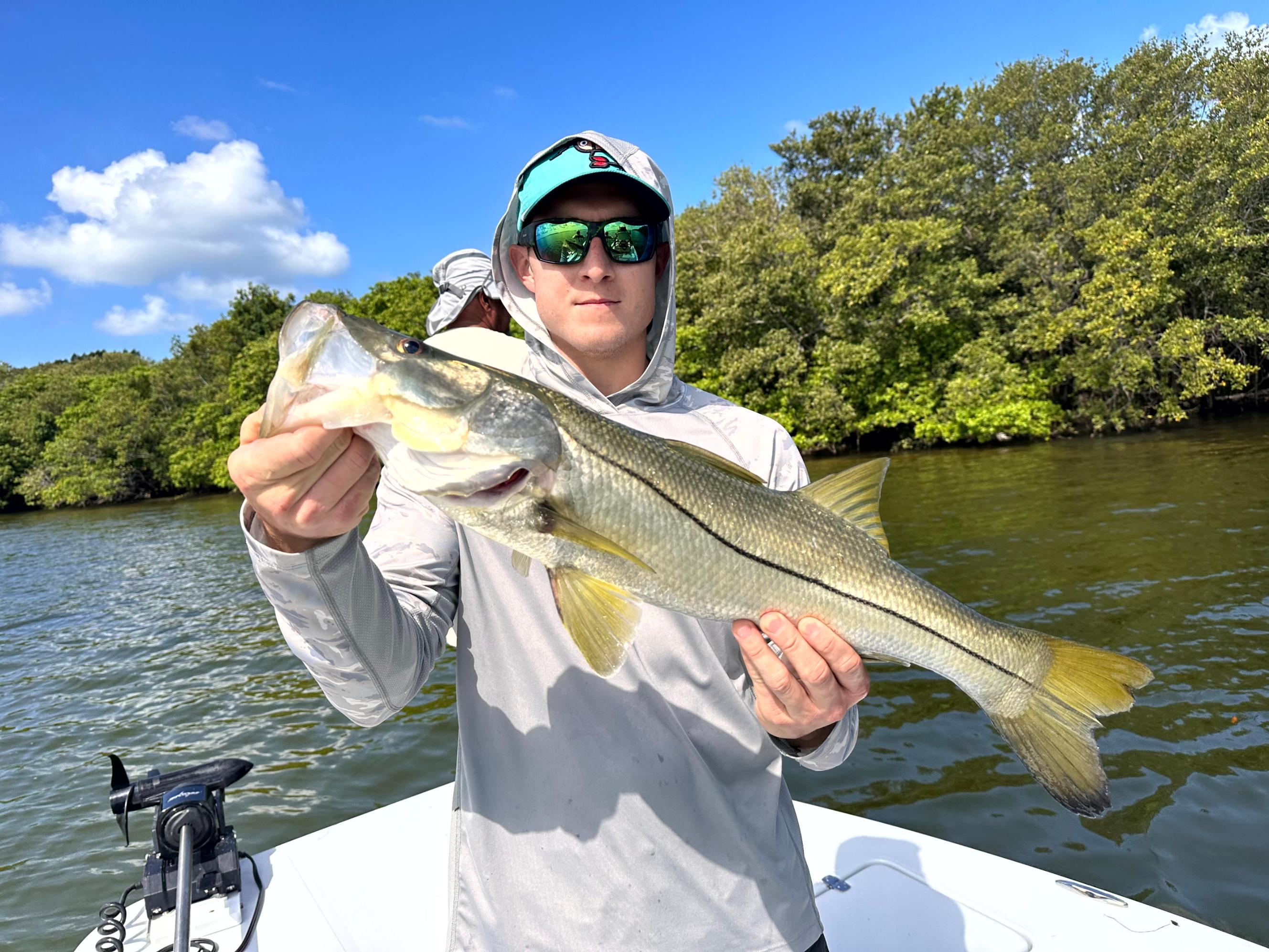 Do Tide Swings Change Bite Windows in Tampa Bay?