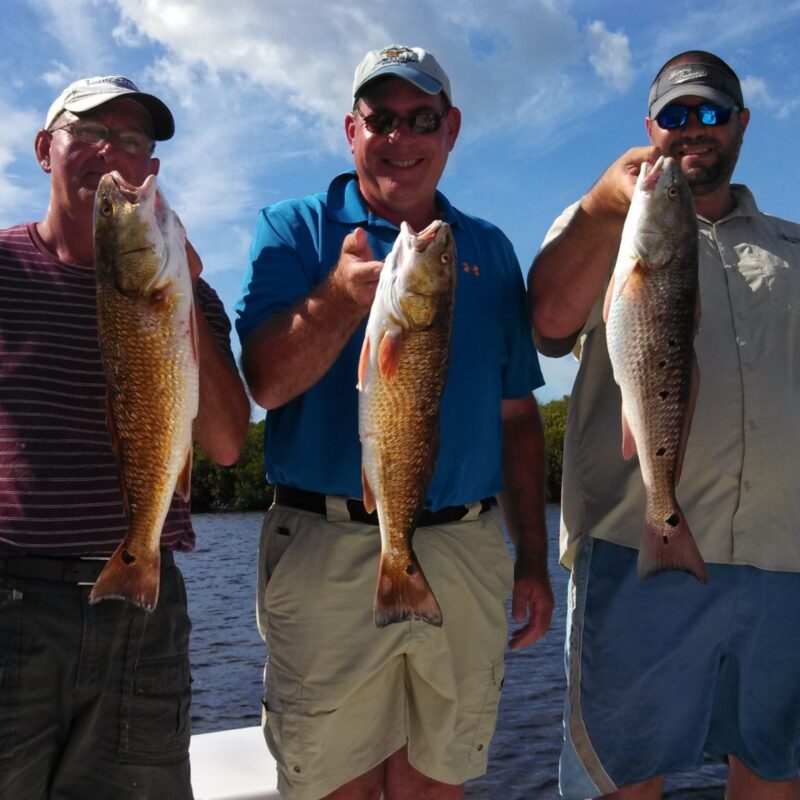 Tampa Corporate Fishing Charter Catch