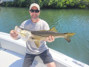 snook caught in the summer time fishing in tampa 