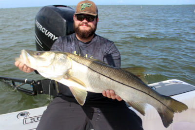 Summer Snook Fishing in Tampa