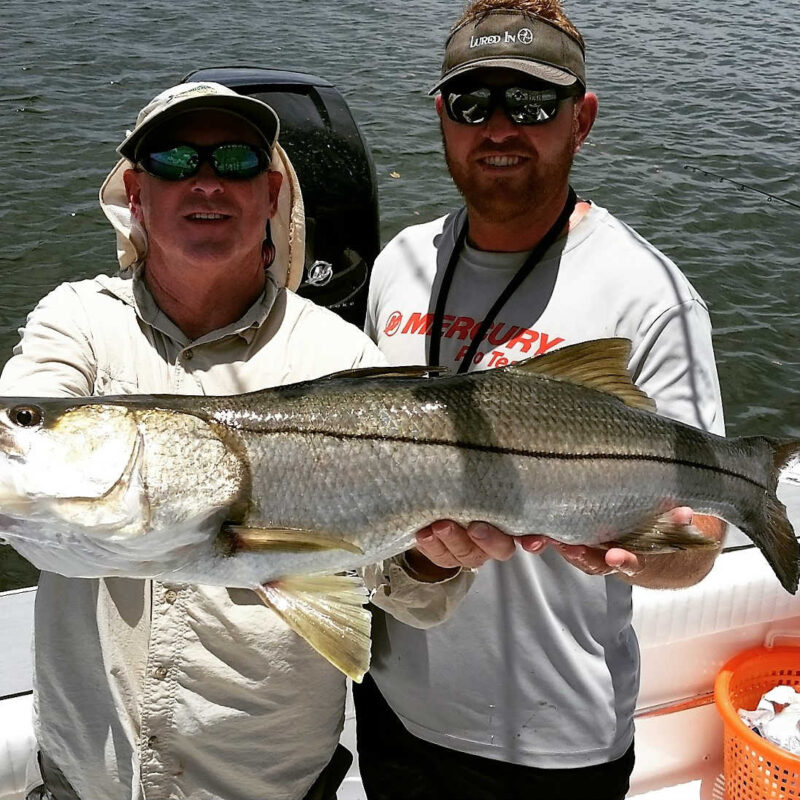 Large Snook caught in Tampa Bay