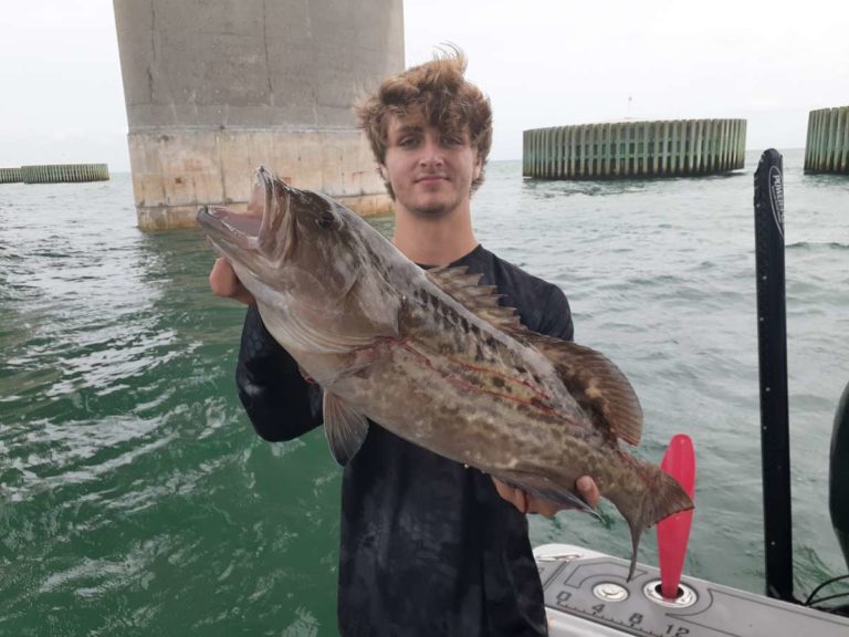 Tampa Bay fishing Tips