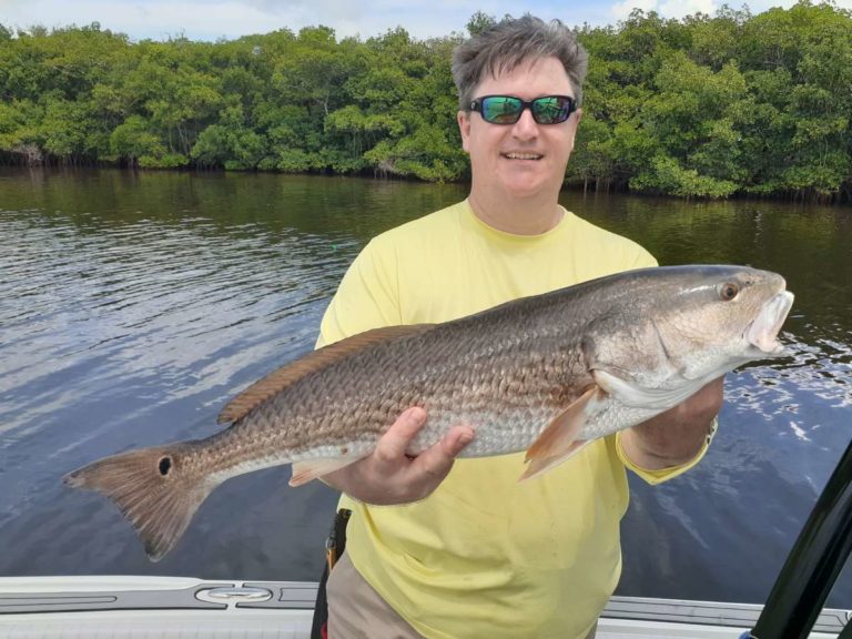 Tampa fishing Report for September 2020