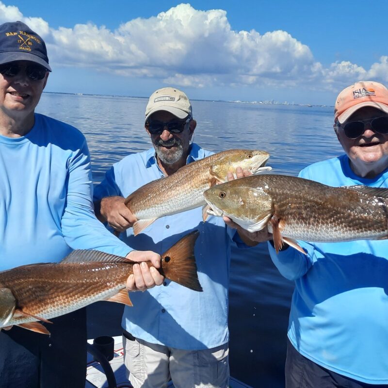 Book a Tampa Fishing Charter