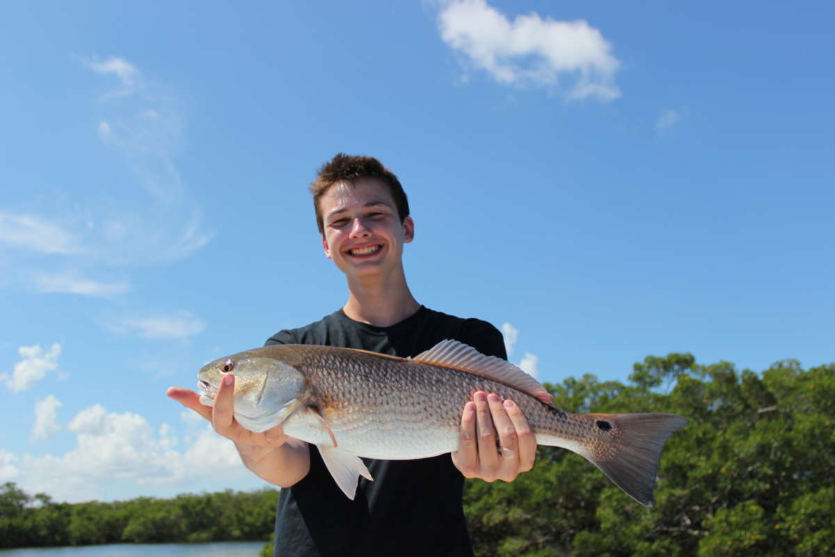 Catching Tampa Bay Redfish 
