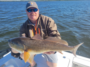 Winter Time Red Fish in Tampa Bay