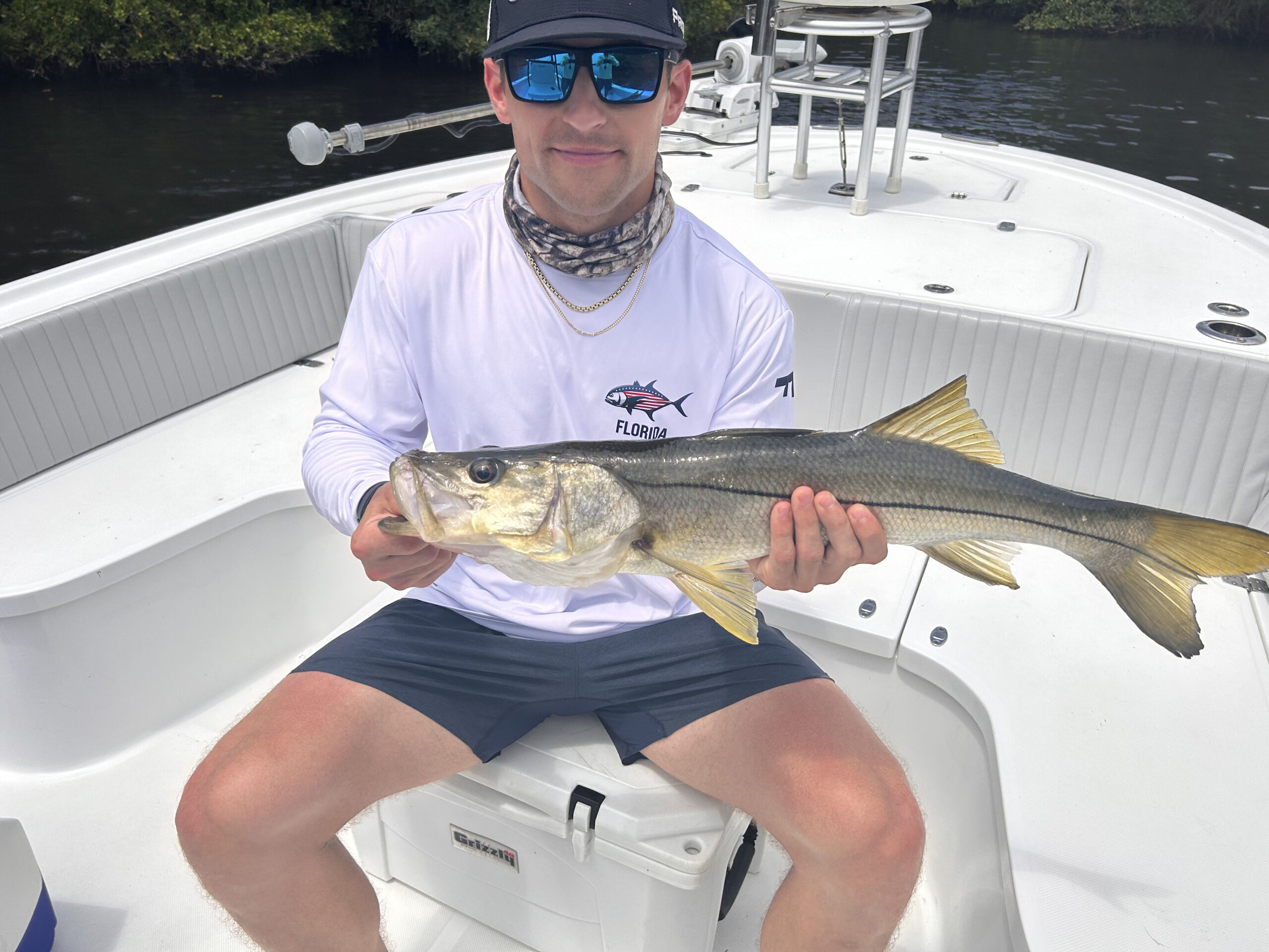 Mid-Summer Snook Bite in Tampa Bay